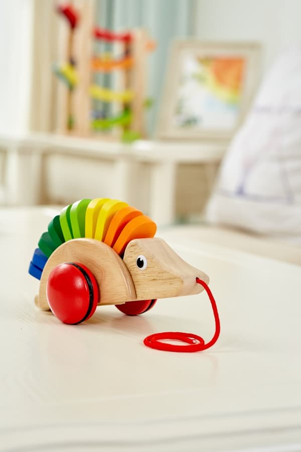 Pintoy dragleksak Igelkott (från 12 mån)