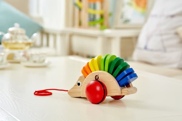 Pintoy dragleksak Igelkott (från 12 mån)