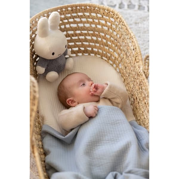 Beaphar rentouttava kaulapanta koirille - 65 cm