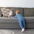 Pikkukuva 3 / 3: Beaphar rentouttava kaulapanta koirille - 65 cm