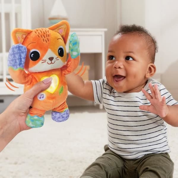 VTECH-FRIPON, PIILOSPELI KISSUNPENNU