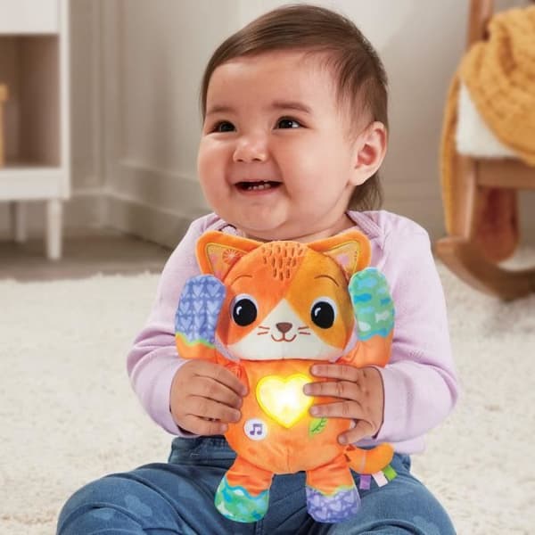 VTECH-FRIPON, PIILOSPELI KISSUNPENNU