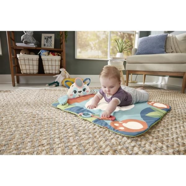 PANDA-RULLAMATTOA - FISHER PRICE - 65 HKD