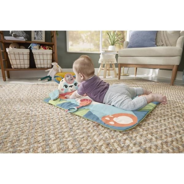 PANDA-RULLAMATTOA - FISHER PRICE - 65 HKD