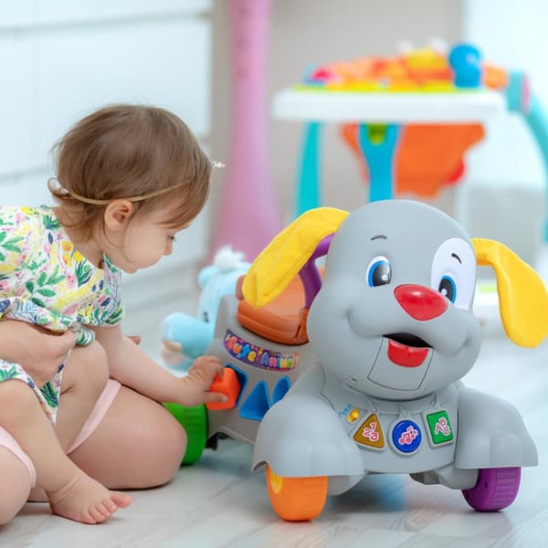 Ladida Gåvagn Happy Puppy Activity Baby Walker