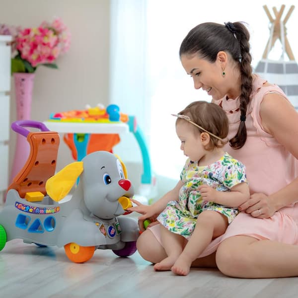 Ladida Gåvagn Happy Puppy Activity Baby Walker