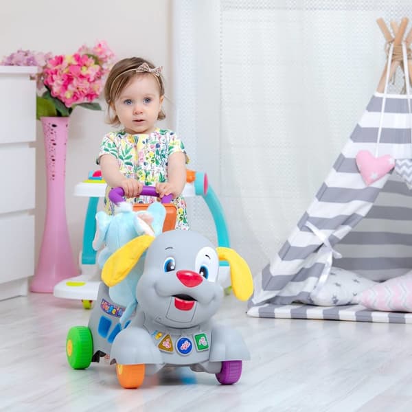 Ladida Gåvagn Happy Puppy Activity Baby Walker