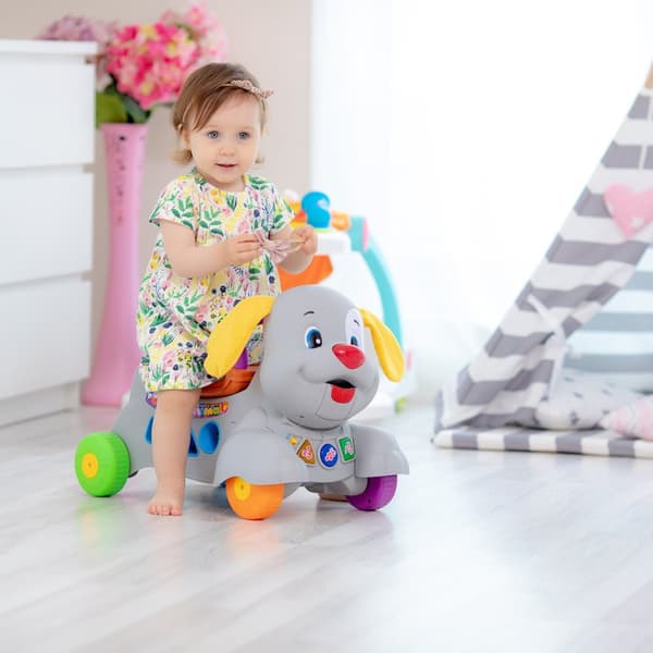 Ladida Gåvagn Happy Puppy Activity Baby Walker