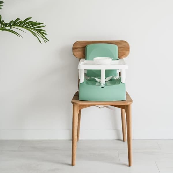 Turvakorokeistuin - THERMOBABY - GUSTO 2-in-1 - Sage Green - Laajennettava ja kannettava