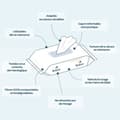 Miniatyrbild 4 av 4: Biolane babyservettdispenser - 12