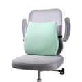 Miniatyrbillede 1 af 2: Skum Taljestøttepude, Ergonomisk Design, Maskinvaskbart Betræk,Mintgrøn