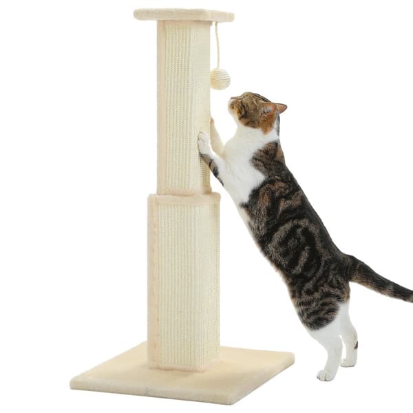 80CM Kissapetojen raapimispaikka, kestävä sisal, tukeva pohja,AMT0269BG