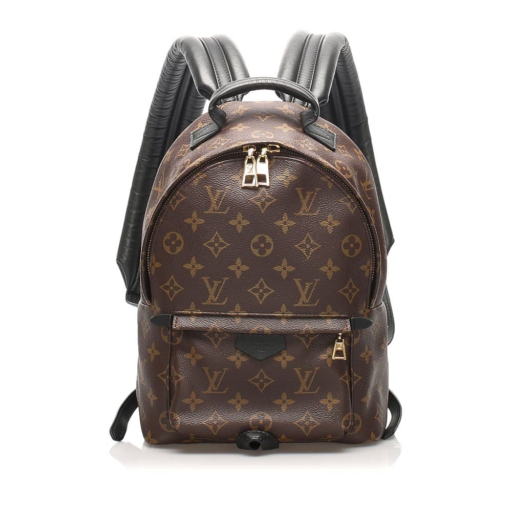 Louis Vuitton Monogram Palm Springs PM Brown