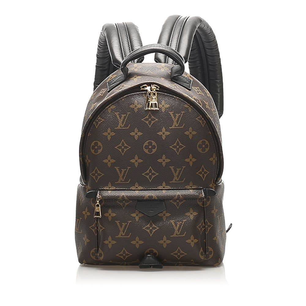 Louis Vuitton Monogram Palm Springs PM Brown