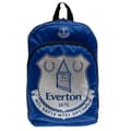 Miniatyrbilde 1 av 3: Everton FC Colour React Backpack