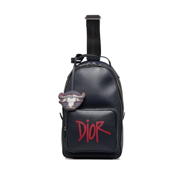 Pre-owned Dior x Shawn Stussy Year of the Ox Sling Blue