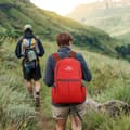 Miniatyrbilde 6 av 8: Ryggsekk ultralett ammenleggbar 36L unisex Tursekk vanntett utendørs dagstursekk for camping, fotturer, reiser, klatring og mye mer