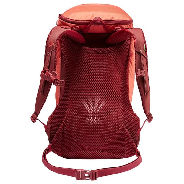 Vaude Tents Reppu Skomer 24l Oranssi