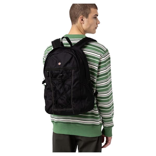 Dickies Ryggsäck Ashville Svart