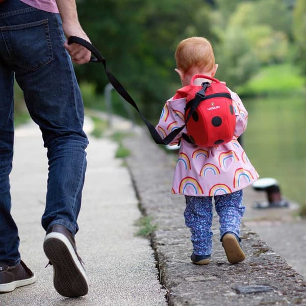 Littlelife Ryggsäck Ladybird 2l Röd