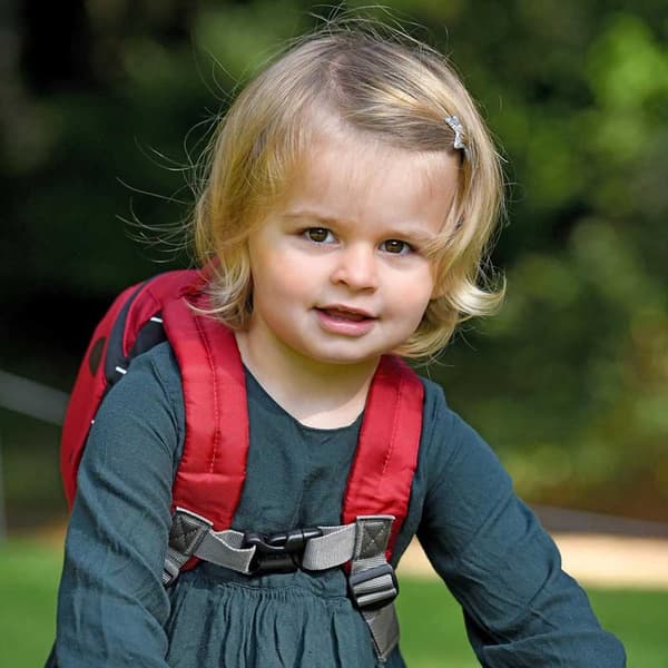 Littlelife Ryggsäck Ladybird 2l Röd