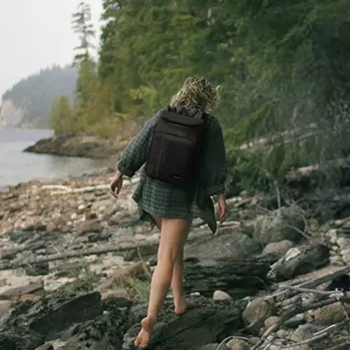 Picnicveske / Kjølebag - 26L