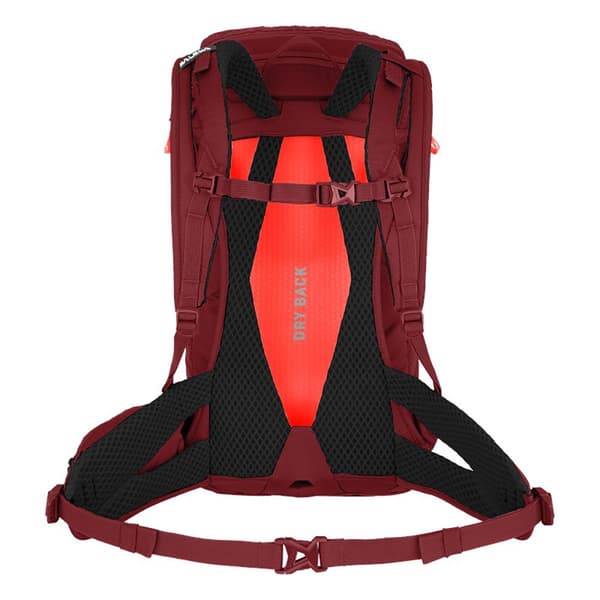 Salewa Rygsæk Alp Trainer 20l Rød