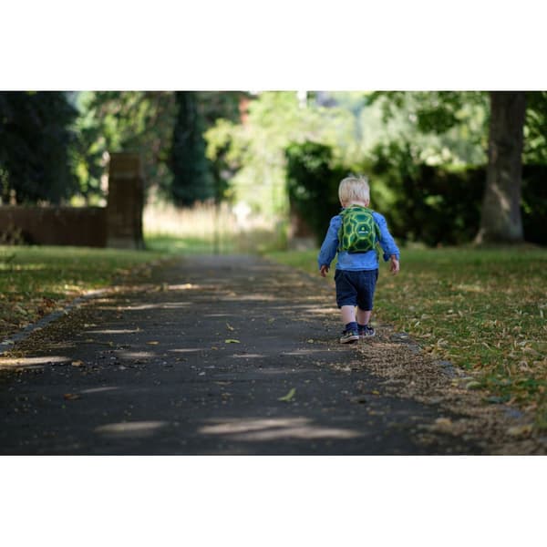 Littlelife Ryggsäck Turtle 2l Grönt
