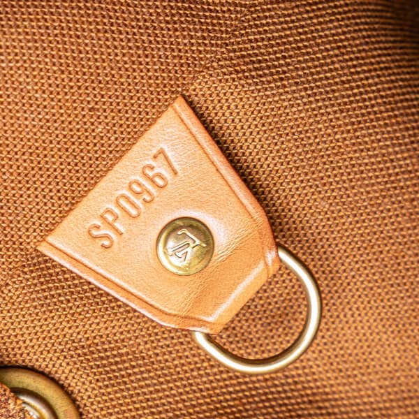 Pre-owned Louis Vuitton Monogram Montsouris MM Brown