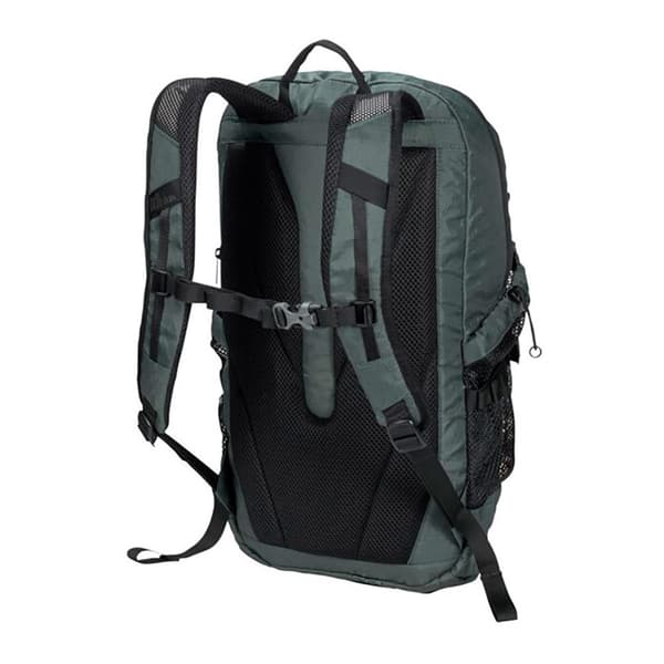Jack Wolfskin Wandermood 20l Ryggsäck Grönt