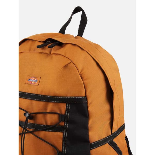 Dickies Ashville Ryggsäck Orange