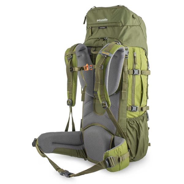 Pinguin Explorer 50 Nylon Ryggsäck Grönt