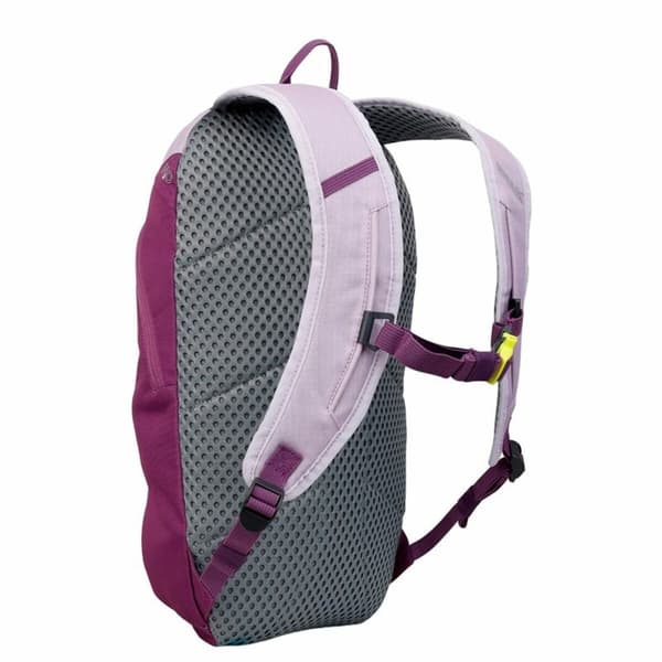 Tur-ryggsekk Regatta Highton V2 Fiolett Polyester