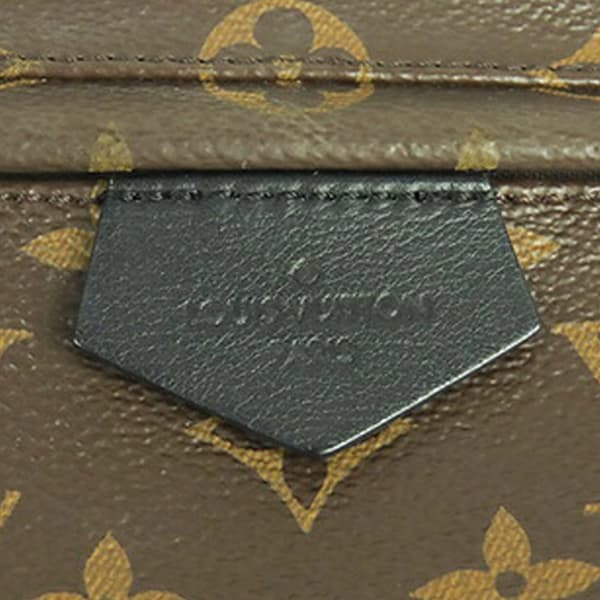 Pre-owned Louis Vuitton Monogram Palm Springs MM Brown