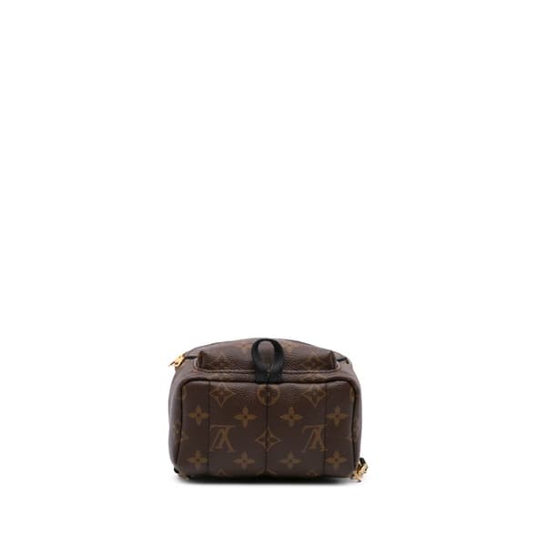 Pre-owned Louis Vuitton Monogram Mini Palm Springs Brown