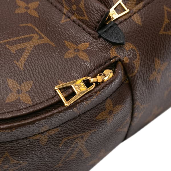 Pre-owned Louis Vuitton Monogram Mini Palm Springs Brown