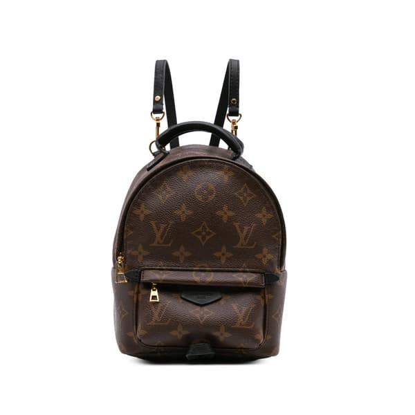 Pre-owned Louis Vuitton Monogram Mini Palm Springs Brown