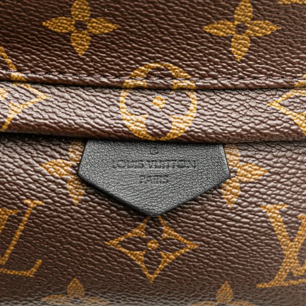 Pre-owned Louis Vuitton Monogram Mini Palm Springs Brown