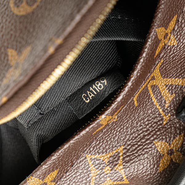 Pre-owned Louis Vuitton Monogram Mini Palm Springs Brown