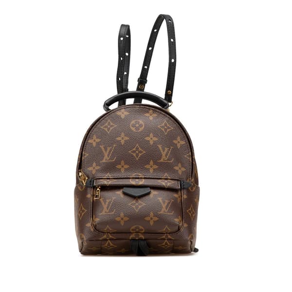 Pre-owned Louis Vuitton Monogram Mini Palm Springs Brown
