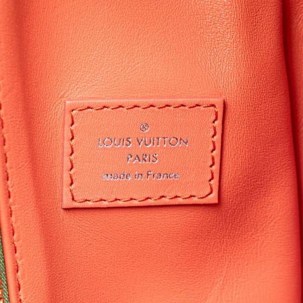 Pre-owned Louis Vuitton Jeff Koons Masters Collection Da Vinci Palm Springs Backpack Brown