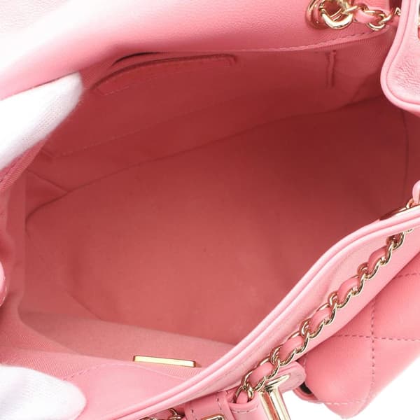 Pre-owned Chanel Medium Quilted Lambskin Duma Pockets Drawstring Backpack Pink