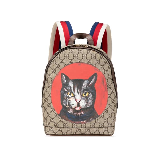 Pre-owned Gucci GG Supreme Bosco Web Backpack Brown