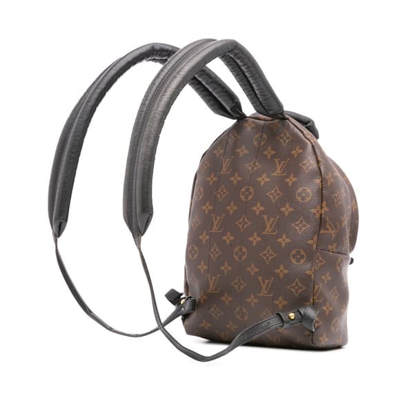 Pre-owned Louis Vuitton Monogram Reverse Palm Springs PM Brown