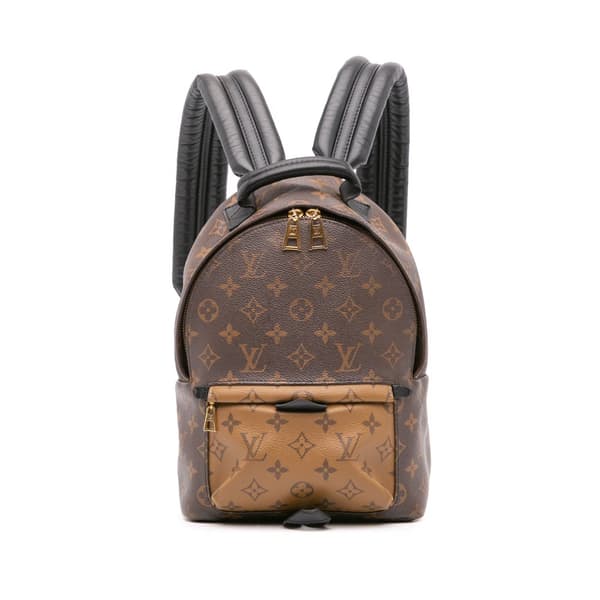 Pre-owned Louis Vuitton Monogram Reverse Palm Springs PM Brown