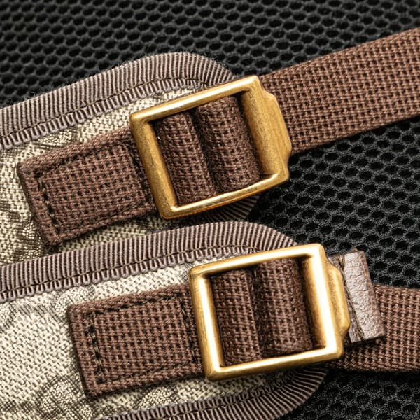 Pre-owned Gucci Medium GG Supreme Ophidia Backpack Brown