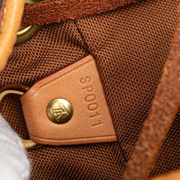 Pre-owned Louis Vuitton Monogram Montsouris GM Brown