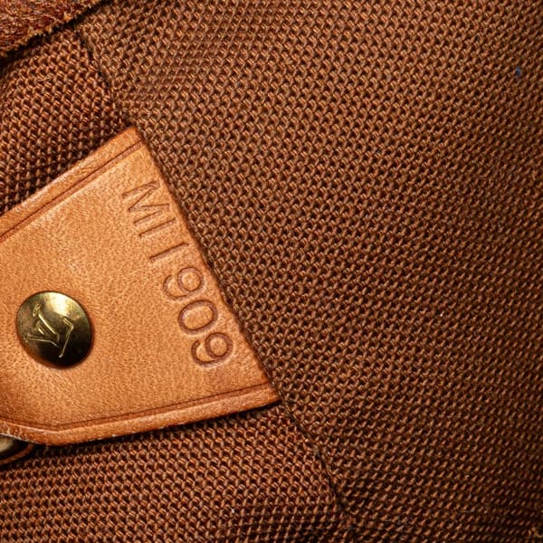 Pre-owned Louis Vuitton Monogram Montsouris GM Brown