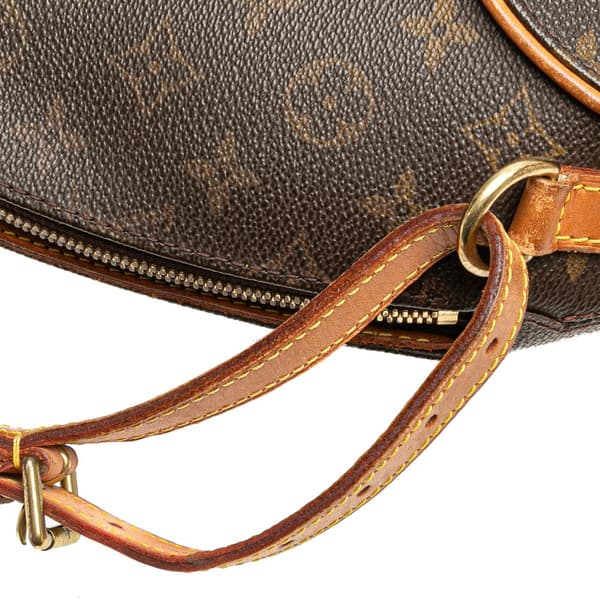 Pre-owned Louis Vuitton Monogram Ellipse Backpack Brown