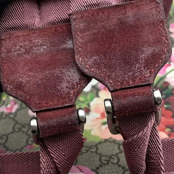 Pre-owned Gucci Small GG Supreme Blooms Single Buckle Backpack Brown